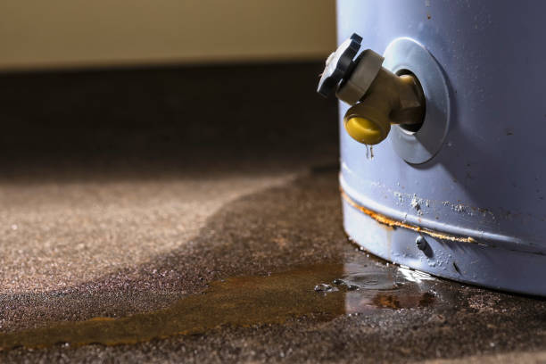 Best Water damage restoration near me  in Vineyard, UT