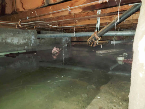 Best Water damage contractors near me  in Vineyard, UT