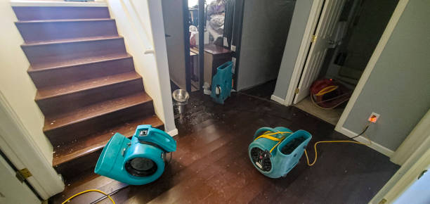 Best Carpet water damage restoration  in Vineyard, UT