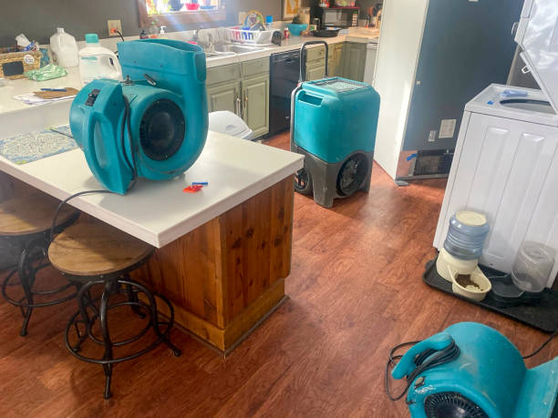 Best Ceiling water damage repair  in Vineyard, UT