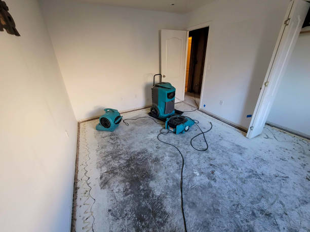  Vineyard, UT Water damage restoration Pros