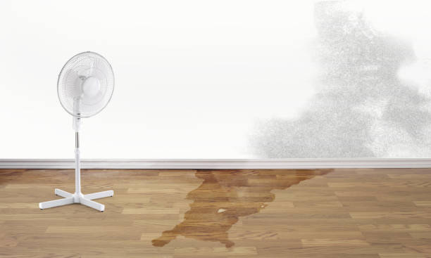 Best Water damage restoration experts  in Vineyard, UT