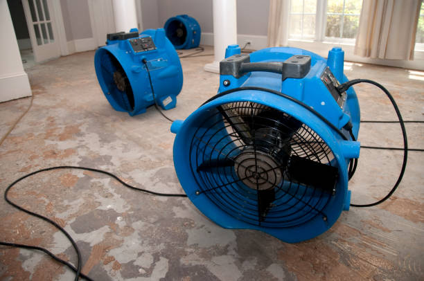 Carpet water damage restoration in UT