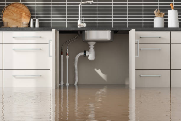 Best Emergency water extraction  in Vineyard, UT