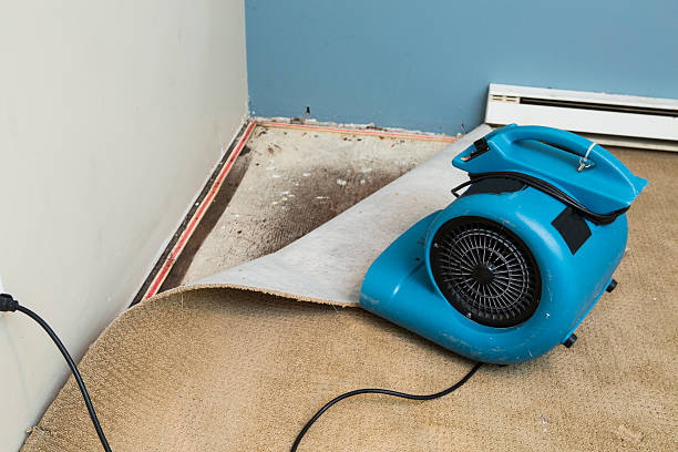 Best Water damage restoration process  in Vineyard, UT